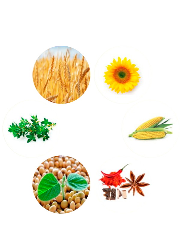 Корм Purina Хэппи