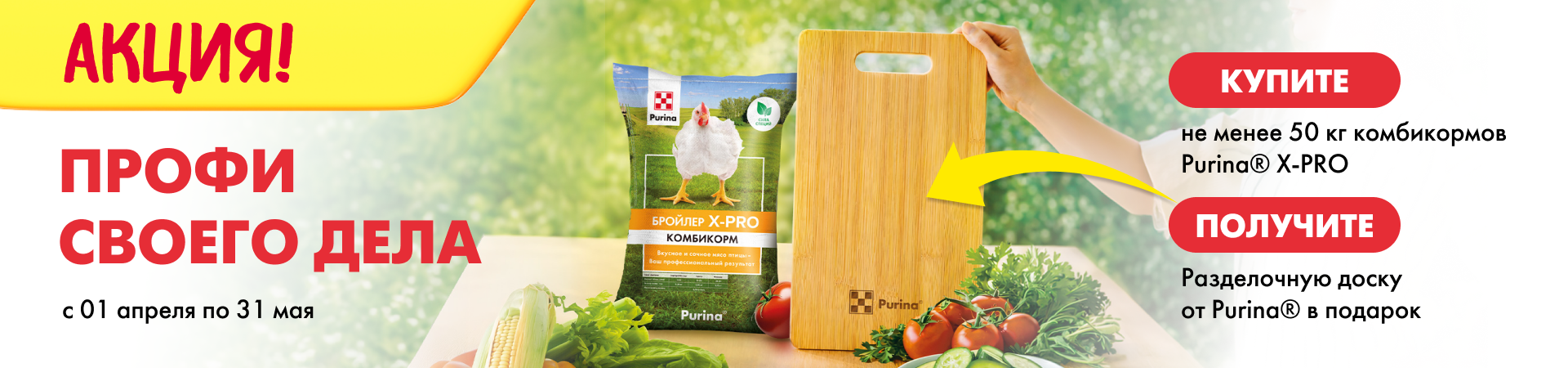 ПРОФИ своего дела