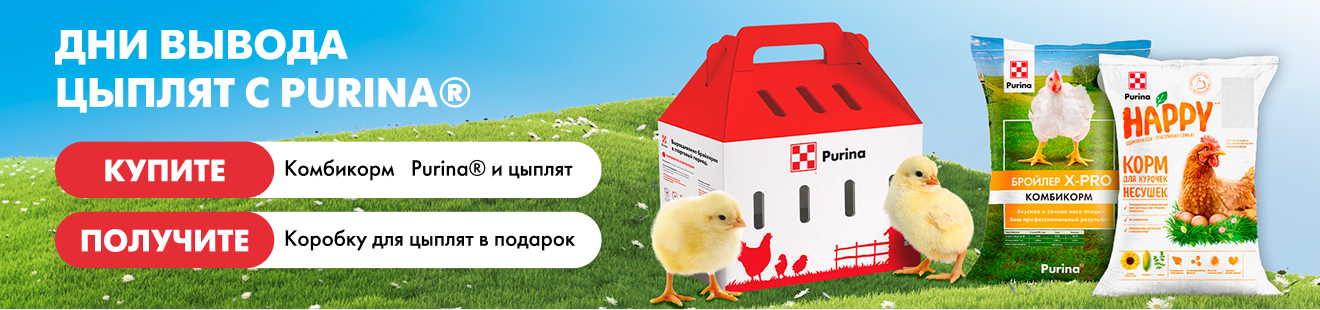 Дни вывода цыплят с Purina®