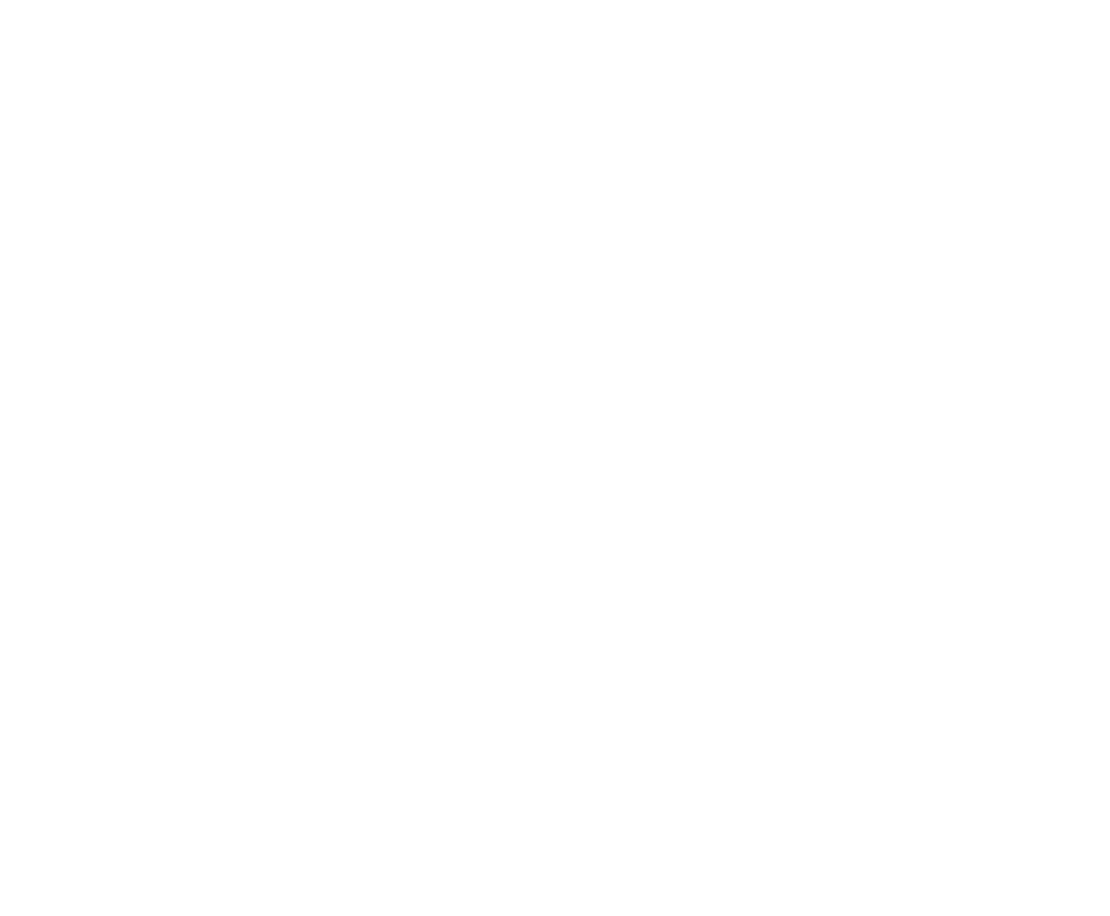 Пурина 10 лет в России