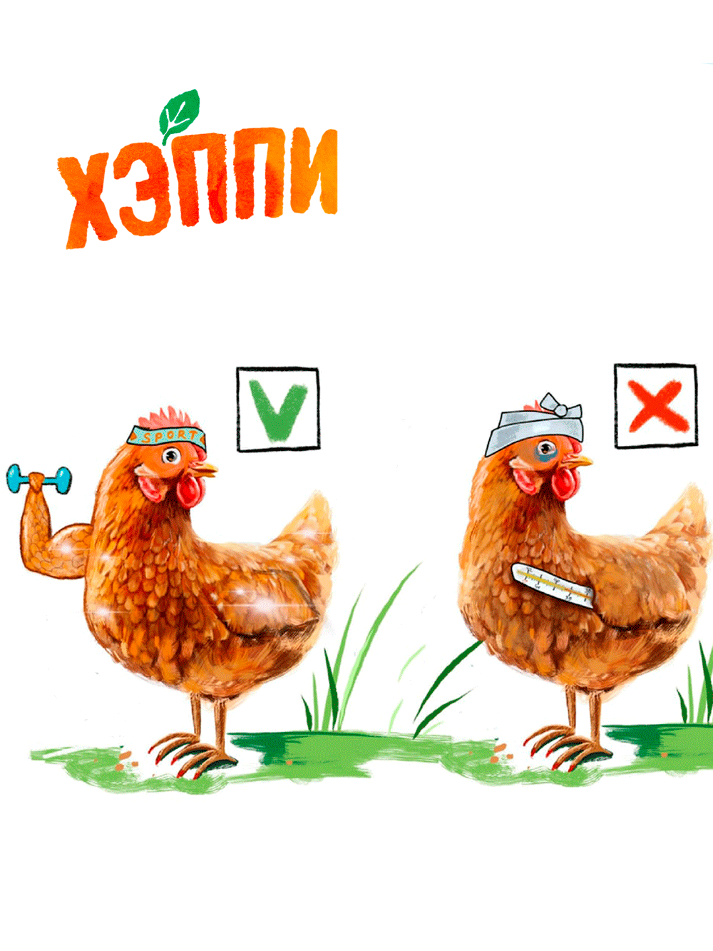 Что нужно знать, заводя несушек на лето?