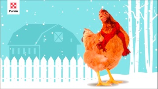 Уход и кормление в холодное время года.