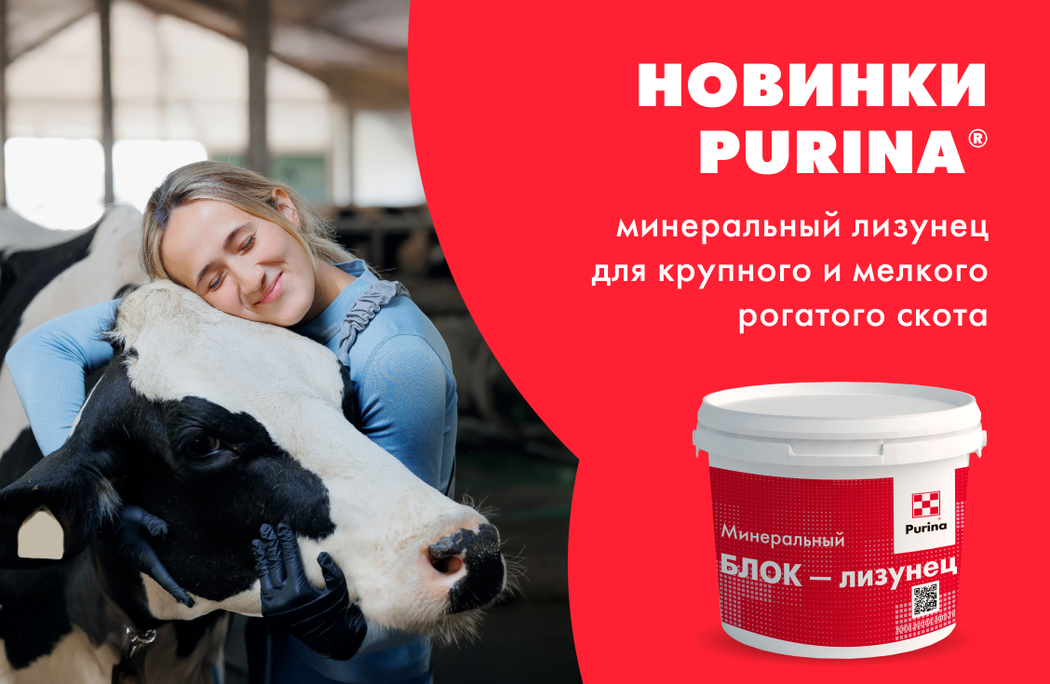 Новинки Purina®: минеральный лизунец для крупного и мелкого рогатого скота