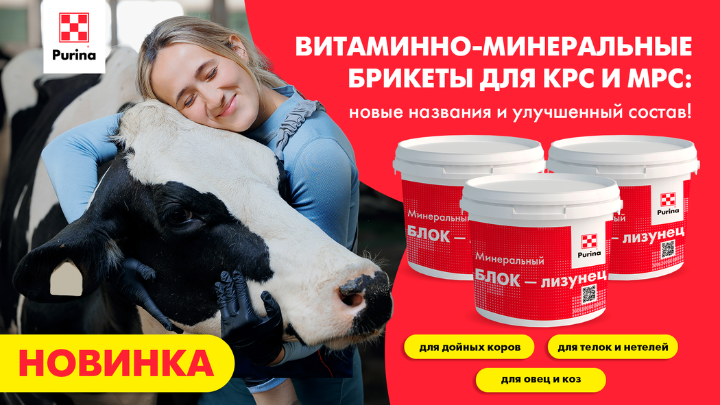 Минеральные брикеты для КРС и МРС