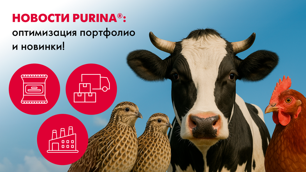 Оптимизация продуктового портфеля и анонс новинок от Purina®