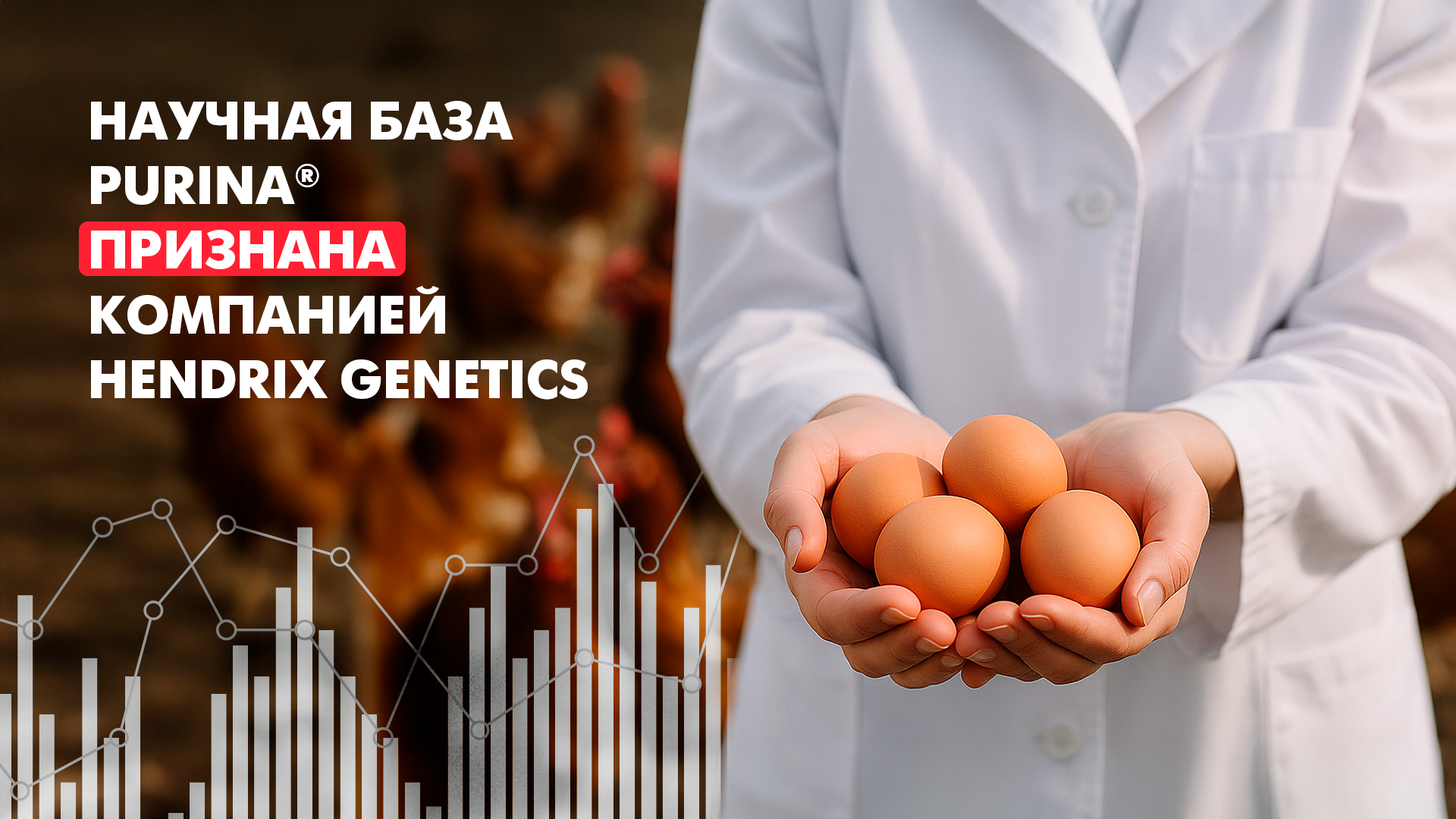 Научная база Purina® признана компанией Hendrix Genetics