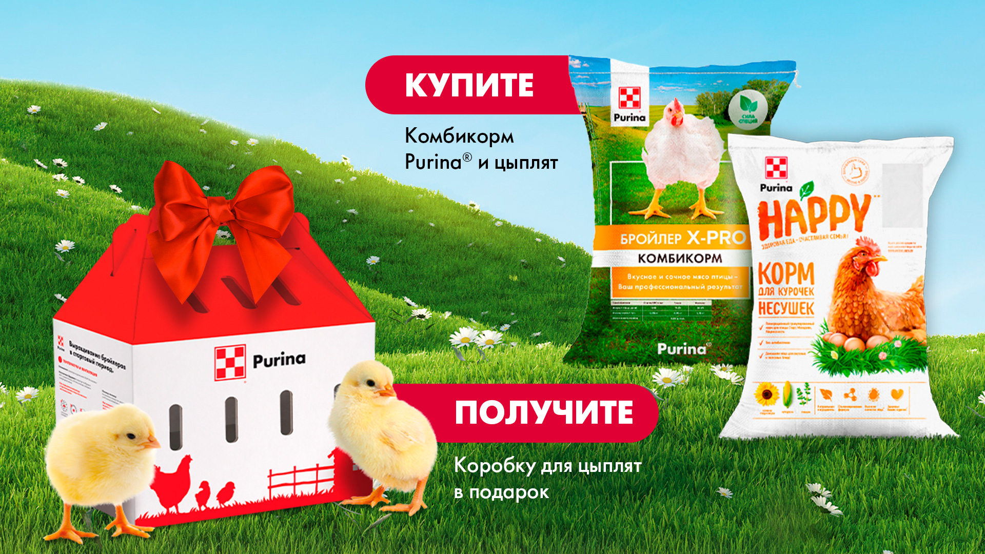 Purina® приглашает к участию в акции «Дни вывода цыплят»