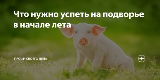 Что нужно успеть на подворье к началу лета