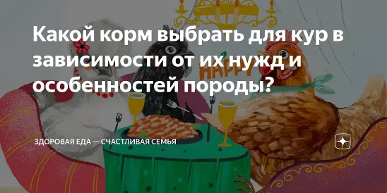 Какой корм выбрать для кур в зависимости от их нужд и особенностей породы?