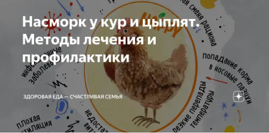 Насморк у кур и цыплят