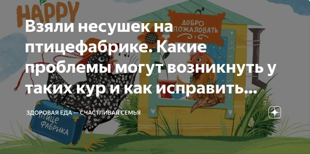 Несушки с птицефабрики