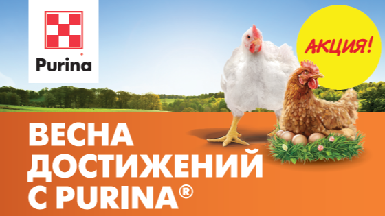 Новая акция «Весна достижений с Purina®»!