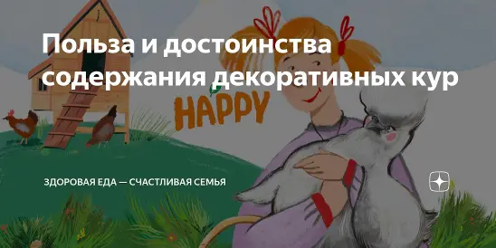 Польза и достоинства содержания декоративных кур