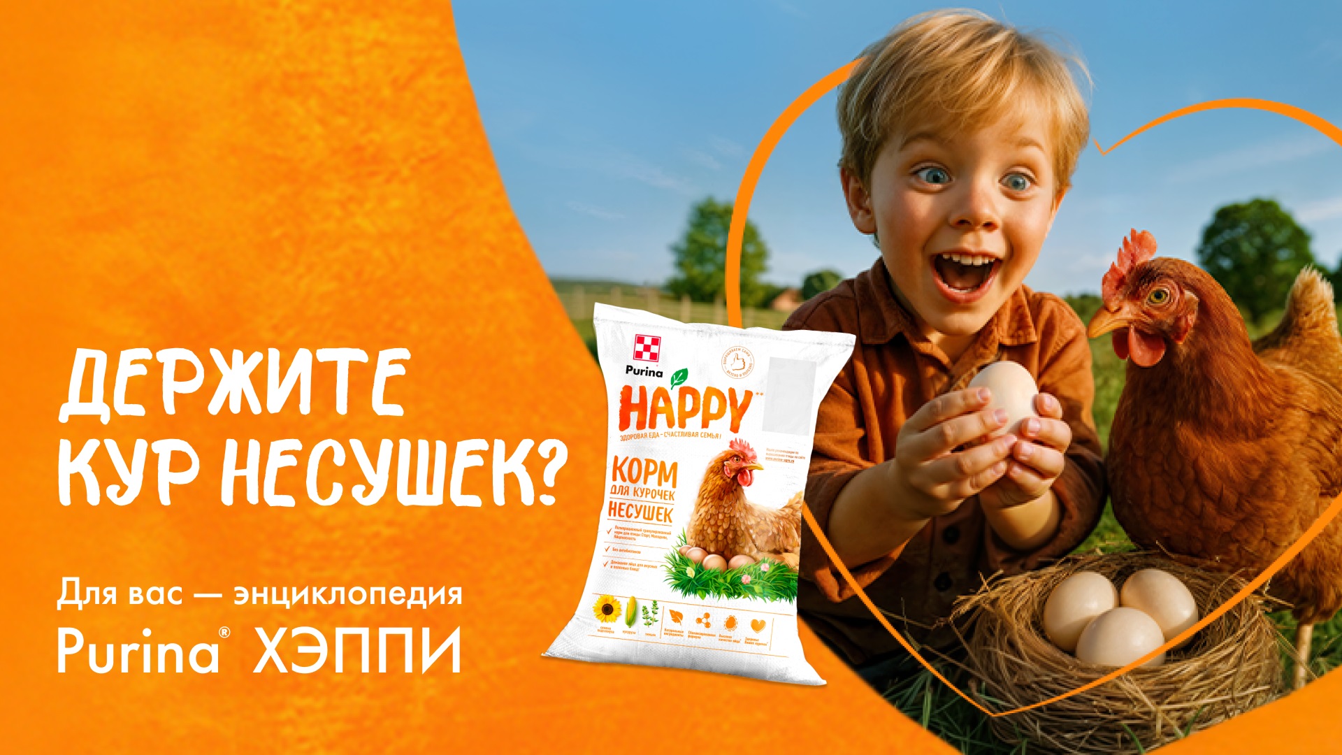 Держите кур-несушек? Добро пожаловать на новую страницу