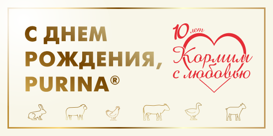 Purina® в России отмечает свой 10-й день рождения!